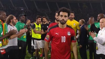 نجوم الوسط الفنى يدعمون لاعبى المنتخب 