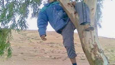 مريض نفسي يثير الذعر بالاسماعيلية بعد صعوده أعلى شجرة كبيرة