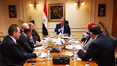 وزير قطاع الأعمال: انتهاءتحديث محالج القطن بنهاية 2022