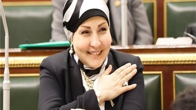 اول تحرك برلماني بخصوص قرار حماية المستهلك بشأن العمر الافتراضي للسلع واعتباره لا يصب فى مصلحة المشترى