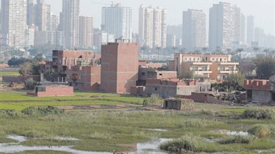 قيادات وزارة الزراعة: خريطة زراعية جديدة.. ولا تصالح مع المعتدين