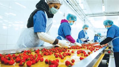 المركزي: 8.6 مليار دولار زيادة في الواردات غير البترولية خلال 2021..والصادرات 32%