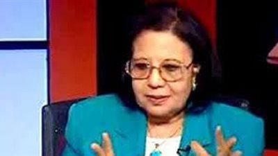 العنترى: النظام الجديد ينقل كافة المعاملات داخل الجهاز المصرفى