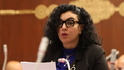 عضو العلاقات الخارجية بالشيوخ : مشاركة مصر في القمة الأوروبية – الأفريقية لها اثار ايجابية مع دول الاتحاد الاوروبي
