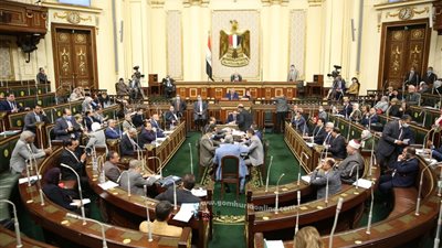 صديق : الإنتهاء من سكن لمحدودي الدخل على نيل رأس البر وتسليمه بالفرش للمواطنين