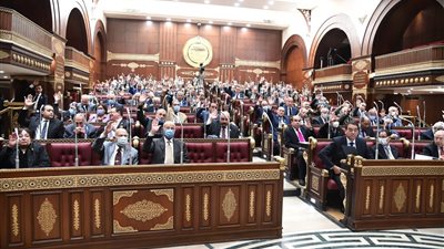 رفع الجلسة العامة بالشيوخ للانعقاد الأحد المقبل