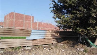 ازالة 60 حالة تعدى على الاراضى الزراعية بالشرقية