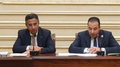 رفع سرعات الإنترنت وخدمات بريدية متنقلة.. أبرز توصيات إتصالات النواب اليوم