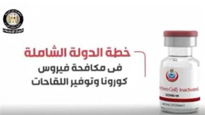 بالفيديو.. خطة الدولة الشاملة في مكافحة فيروس كورونا وتوفير اللقاحات
