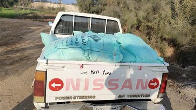 دقيق مدعم ومواد بترولية في حملات تموينية لضبط أسواق الإسماعيلية..صور