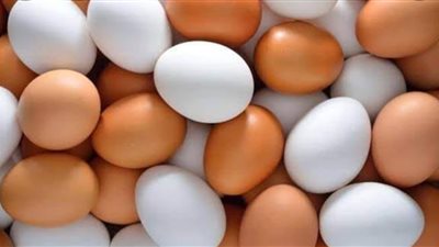 اسعار طبق البيض اليوم ٧ مارس ٢٠٢٢