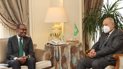 وزير خارجية الصومال يبحث مع أمين عام الجامعة العربية مواجهة ازمة الجفاف وسير الانتخابات