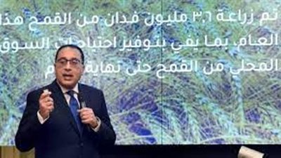 الحكومة جاهزة بتوطين الصناعة وزيادة الصادرات