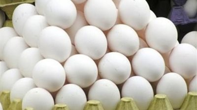 سعر البيض اليوم الأربعاء 16-3-2022