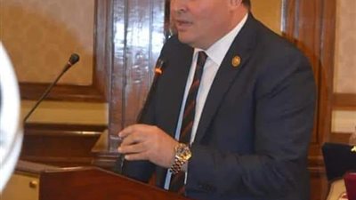 الشرقاوى : مكاسب عديدة من منتدى مستقبل وطن الثانى