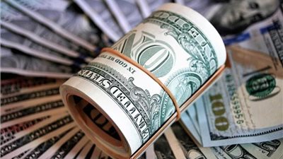 تحديد الدولار الجمركي بـ16 جنيهًا للسلع الأساسية ومستلزمات الإنتاج بنهاية شهر أبريل
