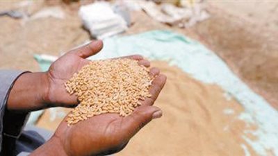 الموازنة الجديدة أمام البرلمان.. الأحد المقبل