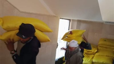 تقاوي ومنظومة جديدة ..الذهب الأبيض يستعيد عرشه من الإسماعيلية ..صور