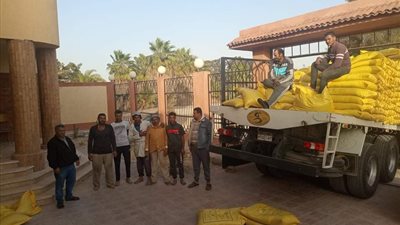 وصول بذور الذهب الأبيض .. بدء موسم زراعة القطن في الإسماعيلية ..صور