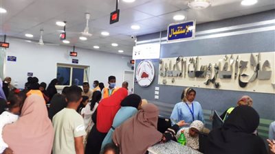 محافظ أسوان يتابع جهود القافلة الطبية المجانية بالرديسية تحت شعار 
