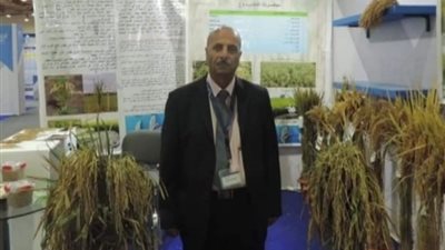 محافظ كفرالشيخ يهنئ 
