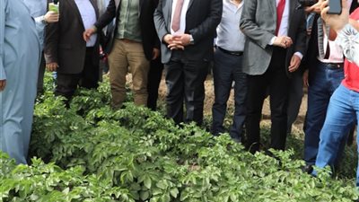 وزير الزراعة يتفقد أحد حقول البطاطس والفراولة تستخدم أساليب الري الحديث