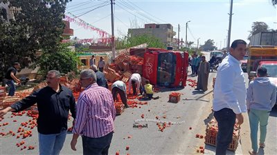 رفع سيارة نقل انقلبت بأطنان من الطماطم في الإسماعيلية ..صور
