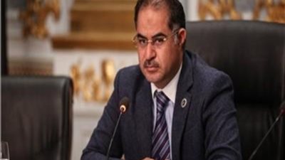 وهدان يعلن موافقة الوفد مبدئيا على إنشاء المركز القومى لإدارة المجال الجوى