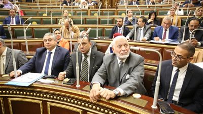 النواب يوافق مبدئيا على مشروع قانون إنشاء المركز القومي لإدارة المجال الجوي