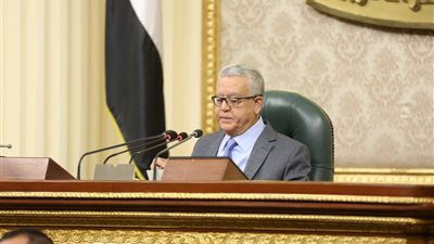 النواب يعلن رفض طلب برفع الحصانة عن النائبة رقية الهلالي
