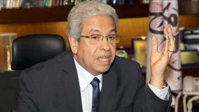 عبد المنعم سعيد: قرار ايقاف دخول منتجات لمصر حماية ولا يستهدف شركات بعينها