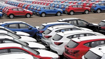 شعبة السيارات تطالب «التجارة» بمهلة عام لتطبيق اشتراطات الإفراج عن سيارات الركوب