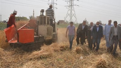 محافظ القليوبية يتفقد عددا من حقول القمح بمدينتي كفر شكر والقناطر الخيرية