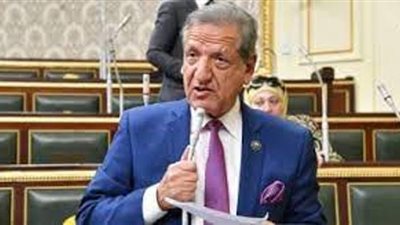 رئيس خطة النواب يستعرض تقرير اللجنة بشأن حساب ختامى الموازنة العامة للدولة