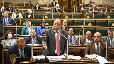 وزير المالية: 220 مليار جنيه إيرادات للدولة لم تحصل بسبب تعرض يعض القطاعات لأزمات مثل كورونا
