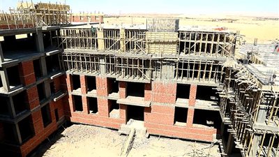 تعميم تجربة مجمع الوادى الحكومية على مستوى الجمهورية