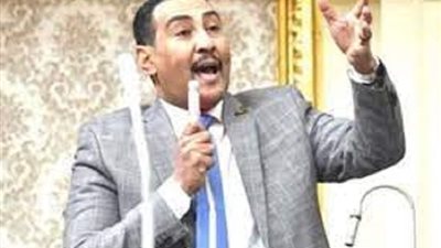 بعد بدء موسم حصاد القمح.. وكيل طاقة النواب يطالب الفلاحين بتوريد اكبر كميات من القمح للحكومة
