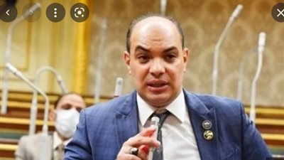 قريطم: ملف الأمن الغذائي أولوية قصوى للدولة المصرية