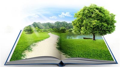 المتحدث العسكري: التنمية الضامن الحقيقي للقضاء على الإرهاب