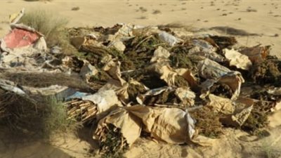 ضبط 1500 كيلو جرام بانجو خلال مداهمة الظهير الصحراوى