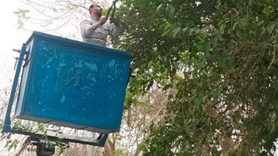 رفع كفاءة الإنارة العامة بالإسماعيلية ..صور