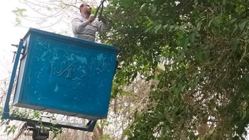 بوابة الجمهورية