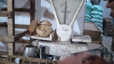 تحرير 114 محضر تمويني وضبط لحوم منتهية الصلاحية بالمنوفية
