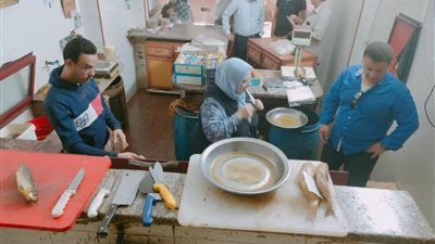 محافظة الجيزة تضبط أسماك مملحه 