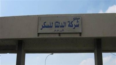 الدلتا للسكر: استلام مليون طن بنجر من المزارعين وإنتاج 144 ألف طن سكر حتى الآن