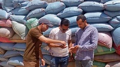 92 طن قمح بشونة قريه 2 بسمسطا