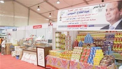 خبراء: الدولة حققت انجازاً خارقاً.. بتخطي الأزمة العالمية
