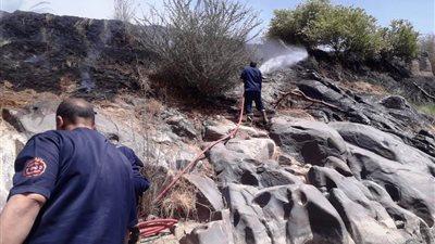 محافظ أسوان: السيطرة على حريق محدود بإحدى الزراعات الخاصة خارج نطاق الجزر النيلية