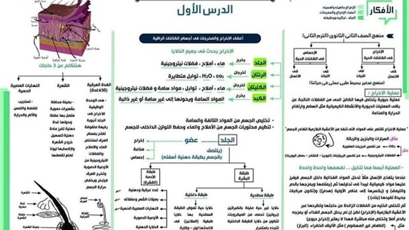 مراجعة نهائية