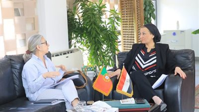 البيئة: العلاقة بين الأمن الغذائي وتغير المناخ من الموضوعات المطروحة في مؤتمر شرم الشيخ
